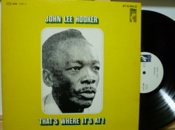 JOHN LEE HOOKER　ジョン・リー・フッカー / ブルースの真実