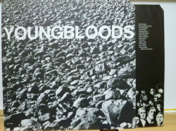 YOUNGBLOODS　ヤングブラッズ / Rock Festival