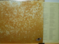 MICHAEL FRANKS　マイケル・フランクス / Sleeping Gypsy