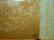 MICHAEL FRANKS　マイケル・フランクス / Sleeping Gypsy