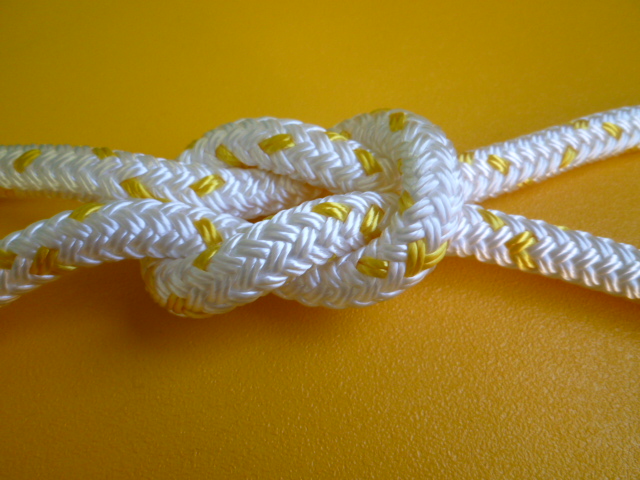 エステルWブレード１６打ちロープ　直径１０ｍｍ（切り売り品）メートル単位　最大２００ｍまで