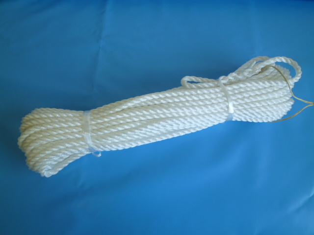 PP（ポリプロピレン）トラックロープ 直径9mm×30m 両端サツマ加工