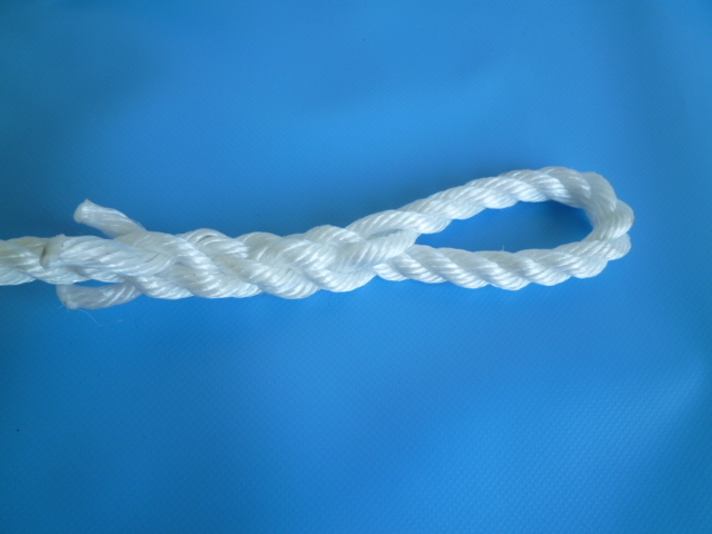 PP（ポリプロピレン）トラックロープ 直径9mm×30m 両端サツマ加工
