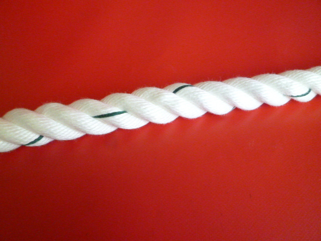 クレモナSロープ線入り　ＪＩＳ　直径２０ｍｍ（切り売り品）メートル単位　最大１９９mまで