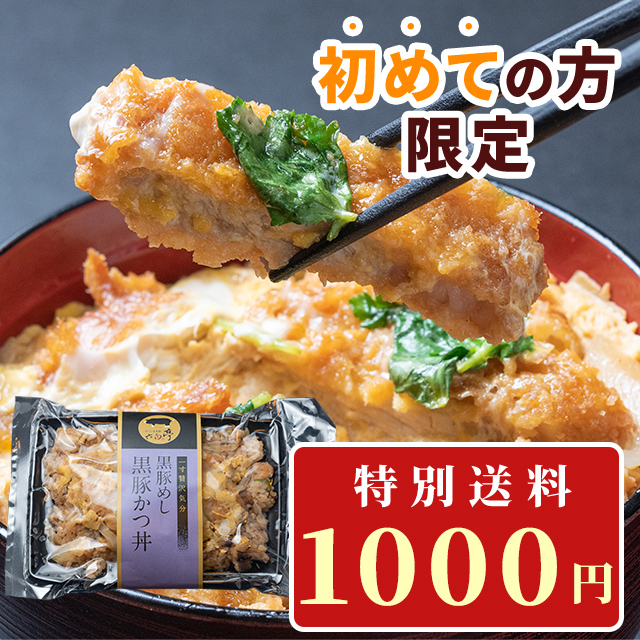 初めての方限定かつ丼
