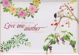 ポストカードセット　いのちのことば社　カリグラフィー　ポストカードセット　Love one another　愛を込めて