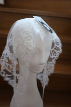 Dentelles Mery de Caudry　CASAS DE CARMEN フランスヴェール　６０４０－１２０４０　アイボリー