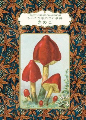 単行豪華カバー　グラフィック社　ちいさな手のひら事典　きのこ　ISBN978-4-76612898-7