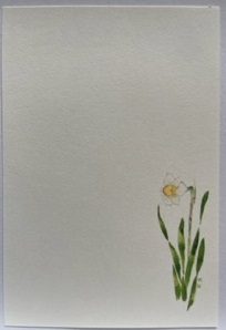 東京カルメル会　ポストカード　CA056　季節の花　すいせん　ハガキ　１枚