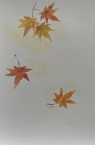 東京カルメル会　ポストカード　CA074　季節の花　もみじ　ハガキ　１枚