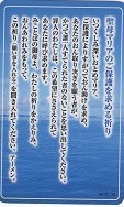 ドンボスコ社　DBP17　日本語　祈りカード 1７　聖母マリアのご保護を求める祈り　サルベ・レジーナ　１１×７センチ　光沢両面カード