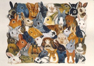ポストカード アート スコット「うさぎの瞳」名画 ウサギ 郵便はがき
