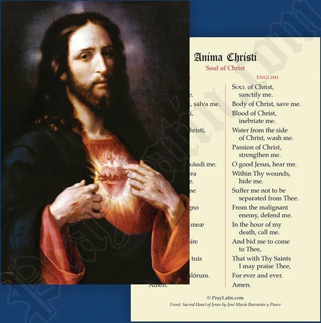LCC ラテン語祈りカード　ラテン語と英語　アニマクリスティ　Soul of Christ　カード　１３×８センチ　光沢紙　００４２
