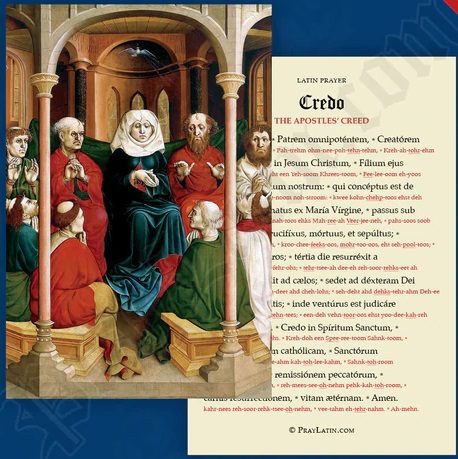 LLC　ラテン語祈りカード　ラテン語の発声表記のある CREDO　THE APOSTLES CREED　１５．２×１０.２センチ　光沢紙（はがきサイズ厚紙）０２８