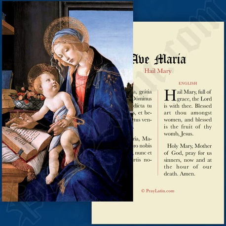 LCC ラテン語祈りカード　ラテン語と英語　AVE MARIA　祈りカード　１１×７センチ　光沢紙　００５