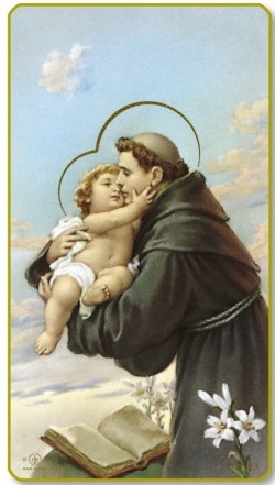 FRATELLI BONELLA　イタリア　紙のご絵　FB101-23   SANTINO DI SANT'ANTONIO DA PADOVA   クラシカル金縁裏白無地　5.5X 10 Cm