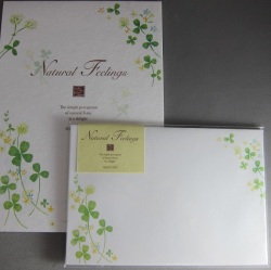 エヌビー社　RONB-1１　便箋セット　レターセット　Natural Feelings　クローバー いつもあなたのために祈り感謝しています（聖句） 　