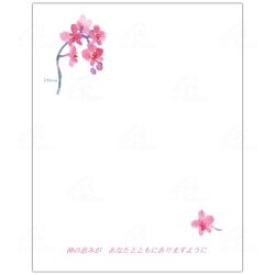 女子パウロ会  メモ　JP25123　メモ　洋らん　 縦11.0cm×横8.4cm 30枚入