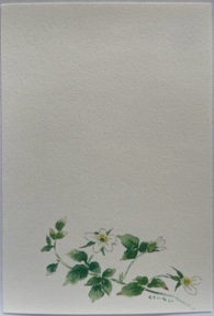 東京カルメル会　ポストカード　CA053　季節の花　くさいちご　ハガキ　１枚