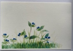 東京カルメル会　ポストカード　CA060　季節の花　つゆくさ　ハガキ　１枚