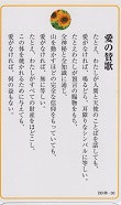 ドンボスコ社　DBP25　日本語　祈りカード 25  愛の賛歌　１１×７センチ　光沢両面カード