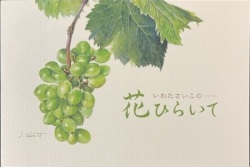 日キ販　NK0002  一筆箋　いわたさいこの花ひらいて　ぶどう