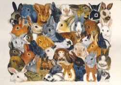ポストカード アート スコット「うさぎの瞳」名画 ウサギ 郵便はがき