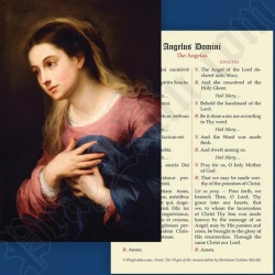 LCC ラテン語祈りカード　ラテン語と英語　アンジェラス　The Angelus　カード　１３×８センチ　光沢紙　００４３