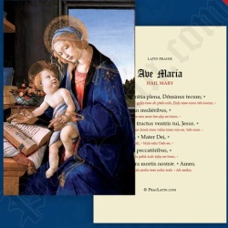 LLC　ラテン語祈りカード　ラテン語の発声表記のあるアヴェ・マリア　AVE MARIA　１５．２×１０.２センチ　光沢紙（はがきサイズ厚紙）０２３