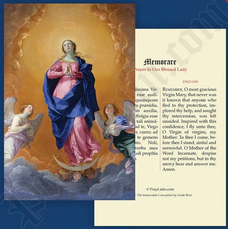 LCC ラテン語祈りカード　ラテン語と英語　メモリア　The Memorare　カード　１３×８センチ　光沢紙　００４０