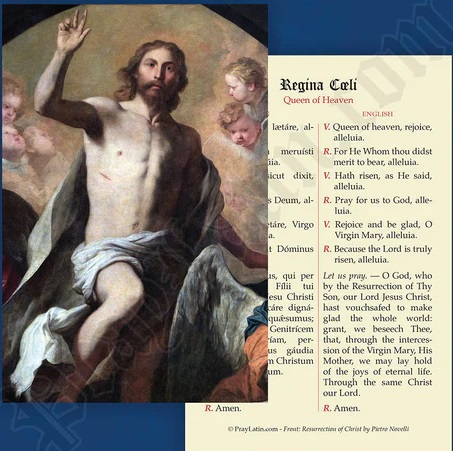 LCC ラテン語祈りカード　ラテン語と英語　レジナカリ Queen of Heaven　カード　１３×８センチ　光沢紙　００４４