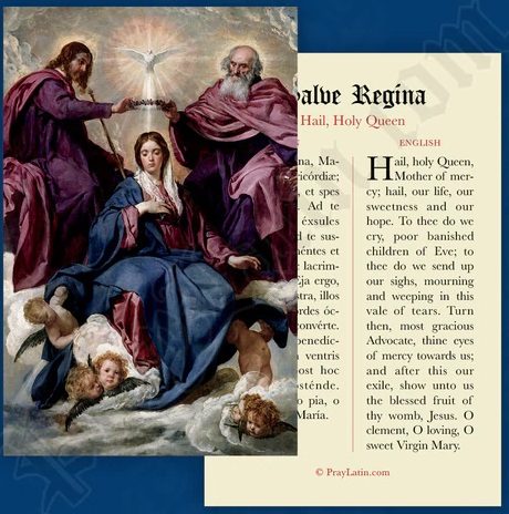 LCC ラテン語祈りカード　ラテン語と英語　SALVE REGINA　HAIL HOLY QUEEN　祈りカード　１１×７センチ　光沢紙　００２