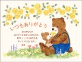 いのちのことば社　1/2カード　いつもありがとうカード　くま　１枚　２WAV24A