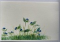 東京カルメル会　ポストカード　CA060　季節の花　つゆくさ　ハガキ　１枚