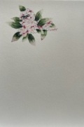 東京カルメル会　ポストカード　CA065　季節の花　ジンチョウゲ　ハガキ　１枚