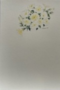 東京カルメル会　ポストカード　CA069　季節の花　ペチュニア　ハガキ　１枚
