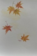 東京カルメル会　ポストカード　CA074　季節の花　もみじ　ハガキ　１枚