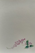 東京カルメル会　ポストカード　CA079　季節の花　ふじうさぎ　ハガキ　１枚