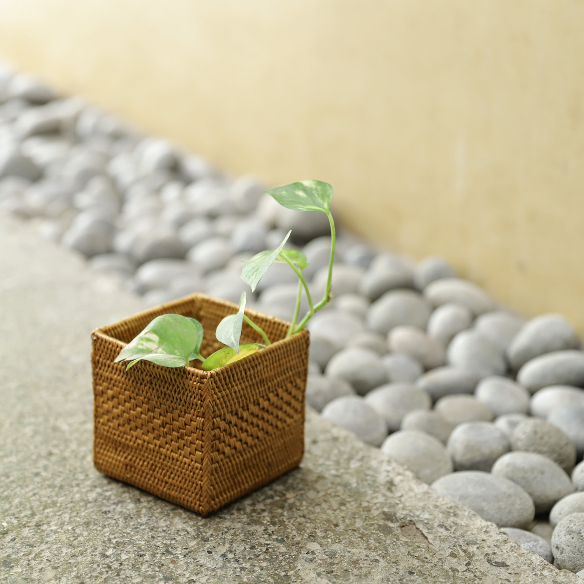 アタ ペン立て ボックス