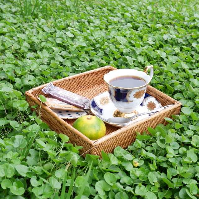 アタ コースター