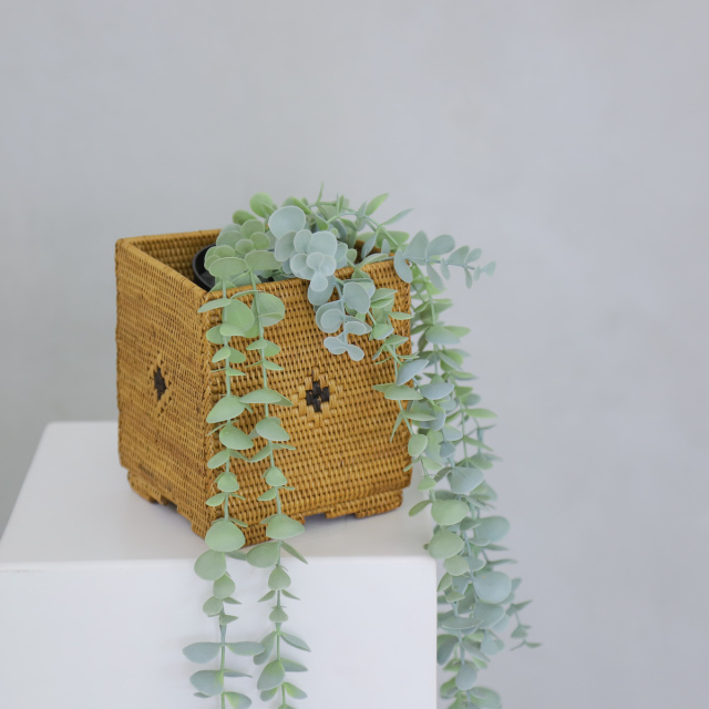 アタ雑貨 ボックス 収納