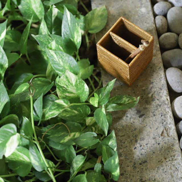 アタ ペン立て カトラリー入れ