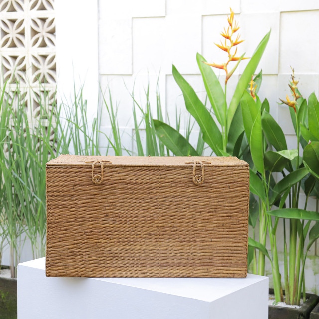 アタ 大型収納 ボックス リビング