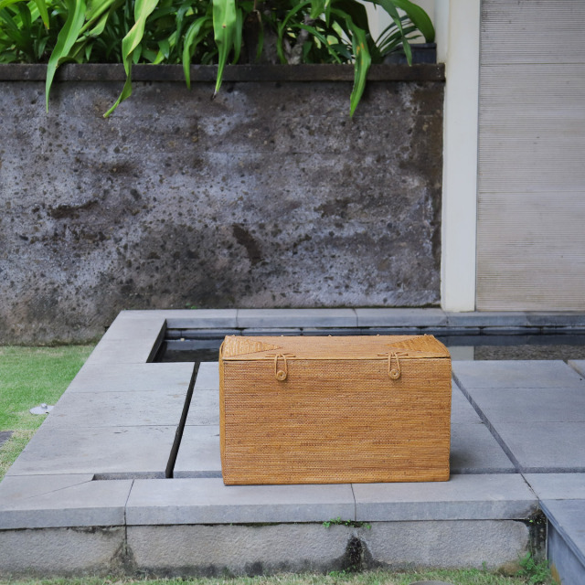 アタ 大型収納 ボックス リビング