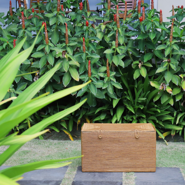 アタ 大型収納 ボックス リビング