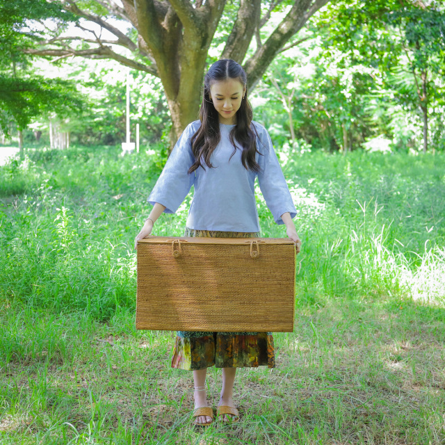 アタ 大型収納 ボックス リビング