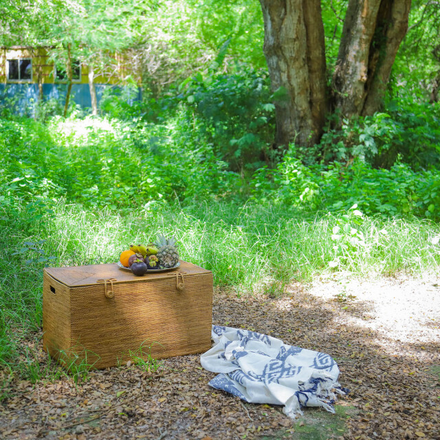 アタ 大型収納 ボックス リビング