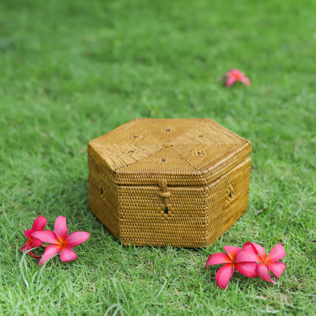 アタ ボックス 蓋付き 収納