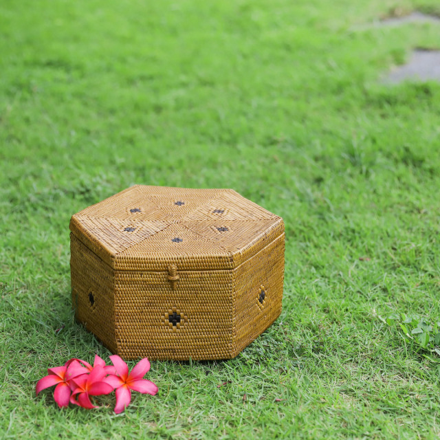 六角蓋付きLサイズ (BOX409) Rosily(ロージリー) バリ島 アタ