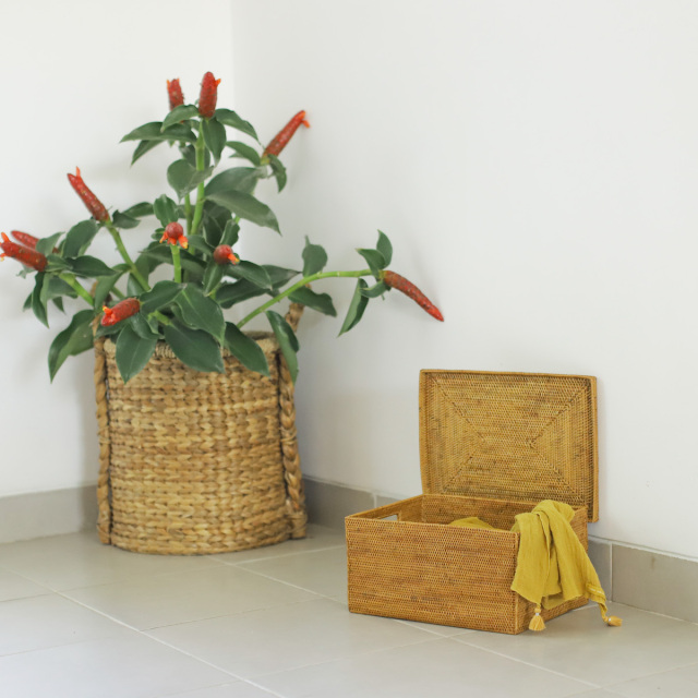 蓋付き靴箱型 (BOX415) Rosily(ロージリー) バリ島 アタかご雑貨 蓋